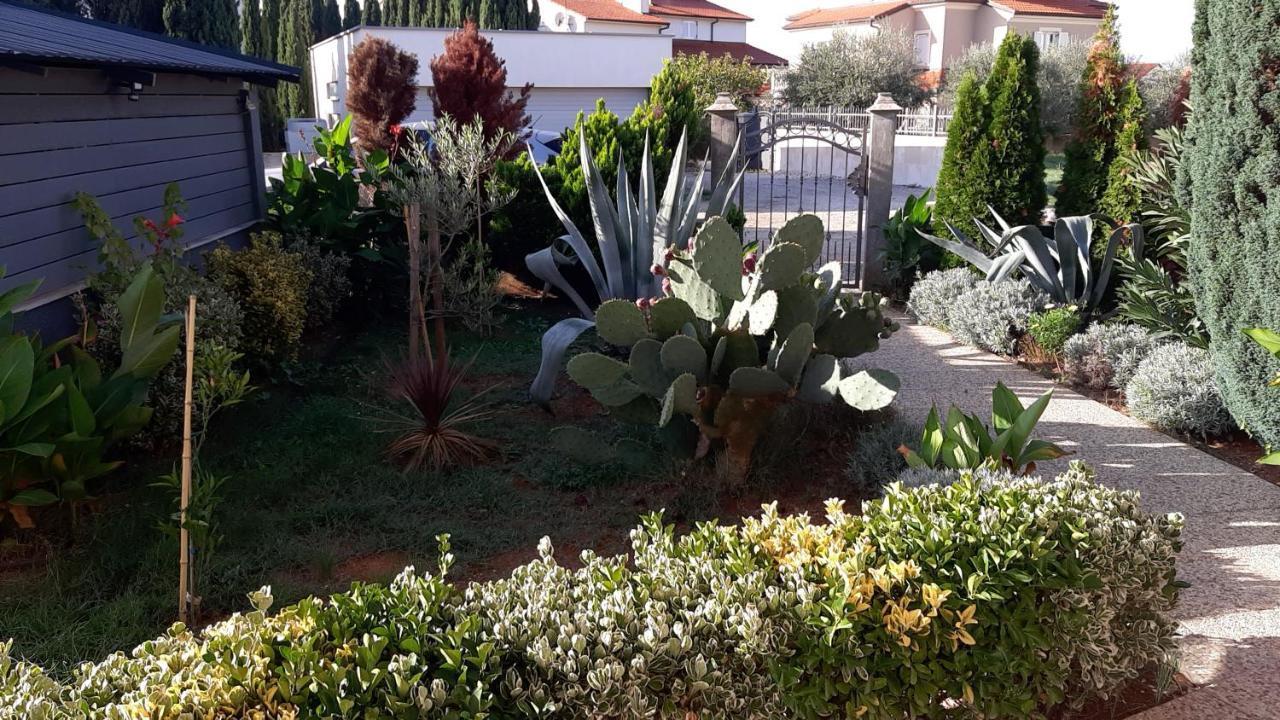Apartments Vukalovic 2 ميدولين المظهر الخارجي الصورة