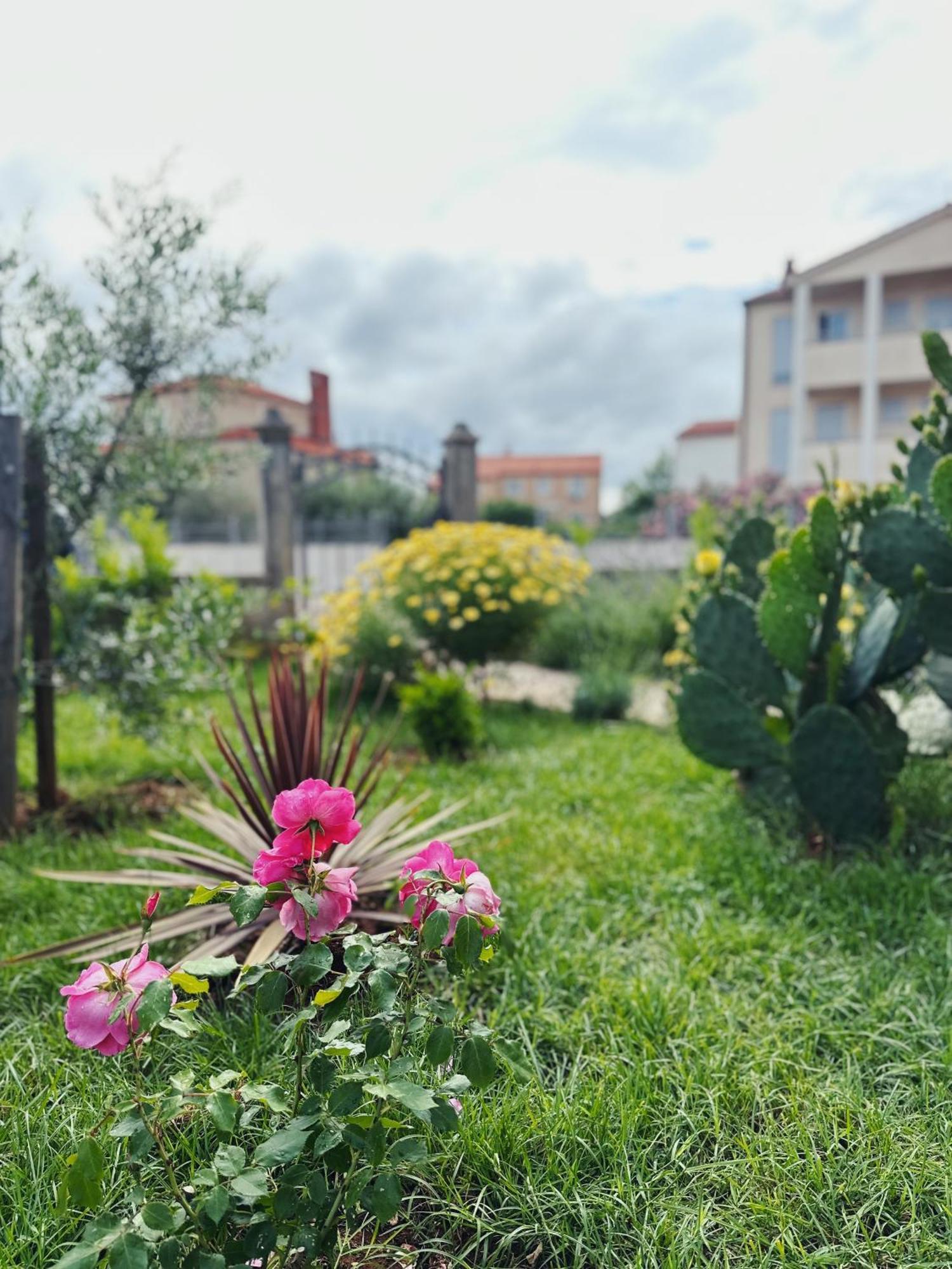 Apartments Vukalovic 2 ميدولين المظهر الخارجي الصورة
